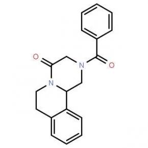 Praziquantel;CAS:55268-74-1